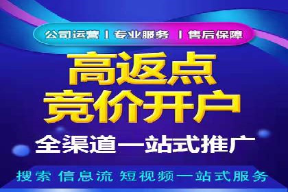 实战解析：SEM竞价策略优化案例